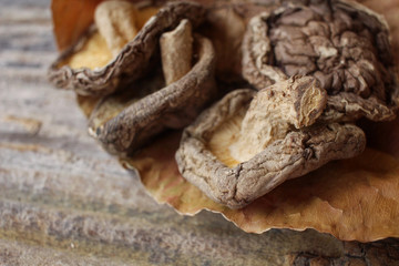 Dried shiitake mushroom