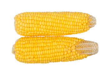  corn group  isolated