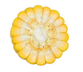 Water drops on grain corn isolated