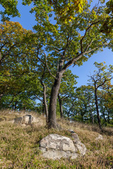 Wanderregion Thale Bodetal