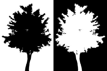 Tree vector silhouette