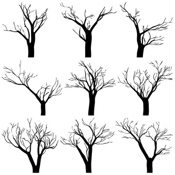 Set black trees