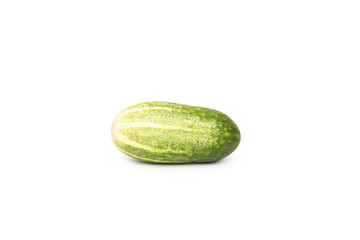 Small, fresh cucumber isolated on white background