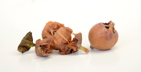 organic medlars