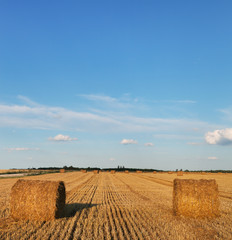 Field with straw bales.