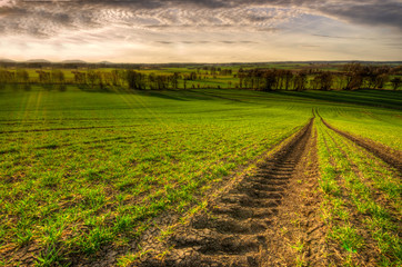 Obraz premium Reifenspuren im Saatgut