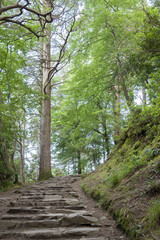 Obraz premium Kerry Way near Torc Waterfall