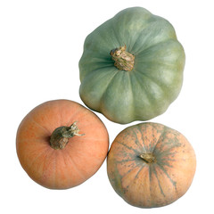 Three colored pumpkins