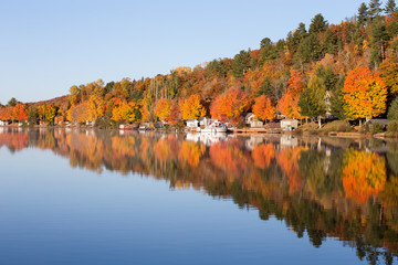 Fall Colors Reflected in a Calm Lake