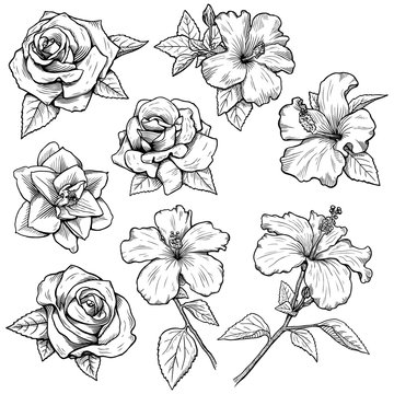 Various Flowers Inked In BW