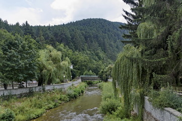 Fototapeta na wymiar View toward river with bridge and highly varied plant, Chepinska reka, Velingrad, Pazardzhik province, Bulgaria 