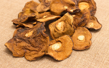 Dried mushrooms on canvas