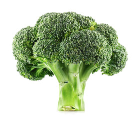 Fresh Broccoli isolated