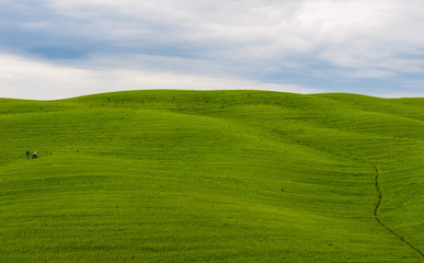 Obraz premium Photographer in Val D'Orcia , Triboli