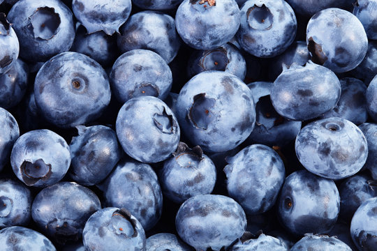 fresh Blueberry background
