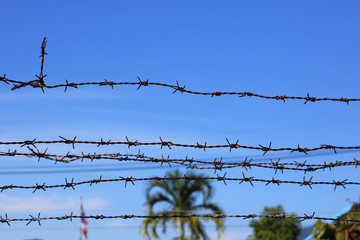 Barbed wire on blue sky background