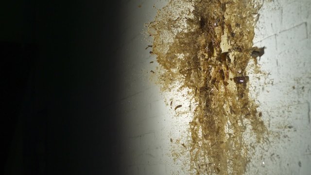 Smashing beer bottle shooting with high speed camera, phantom flex.