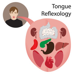 vector illustration of tongue reflexology chart. reflex zones on your tongue