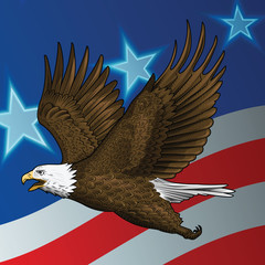 American Bald Eagle in Flight