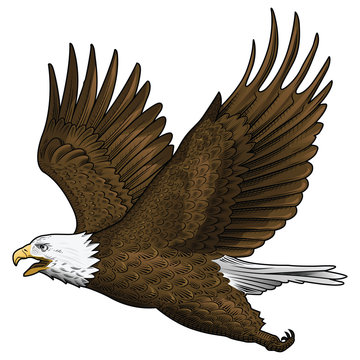 Eagle clip art preview
