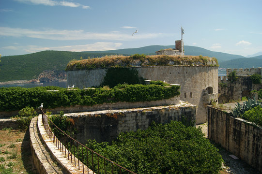 On the island of Mamula