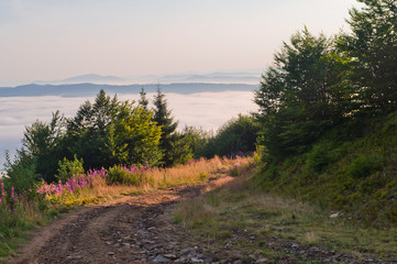 Summer mountain landscape with a road in the sea of fog