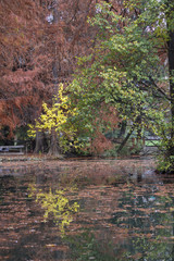 reflection on lake in autumn