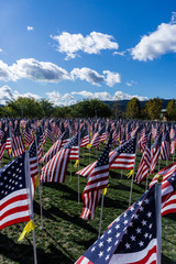 Field of Honor 4
