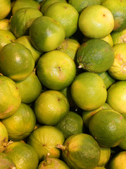 bergamia citrus or green  bergamot  for sale to the  italian gre
