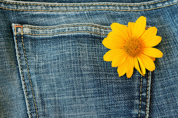 denim material with flower