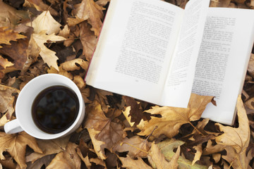Naklejka na ściany i meble Autumn leaves with cup of coffee and book.