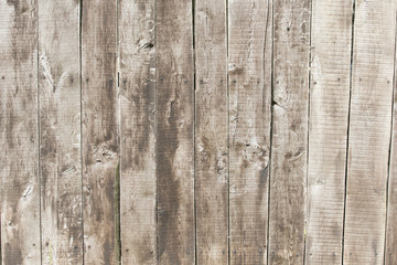 wood texture. background old panels