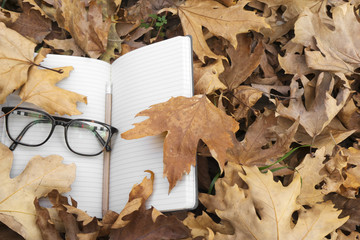 Autumn leaves with notebook and glasses.