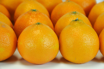 tangerine background