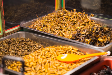 Fried insects like bugs, grasshoppers, larvae, caterpillars and scorpions are sold as food on the...