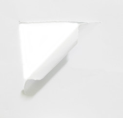 white torn paper