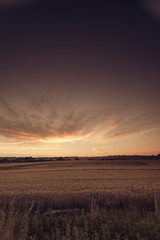 Beautiful sunset over summer field