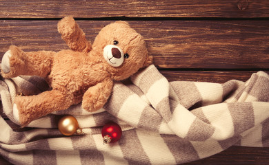 Teddy bear toy and scarf