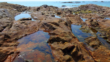 ife on rock @ Nang Thong Beach, Phang Nga, Thailand