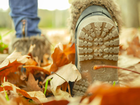 oto&ntilde;o / caminar sobre hojas secas 