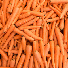 Carrots.  Fresh organic carrots.  Background texture of  carrots