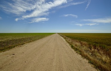 Fototapeta na wymiar Unimproved dirt access road in the rural countryside