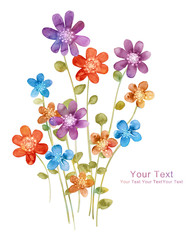 watercolor illustration flowers in simple background - 96349148