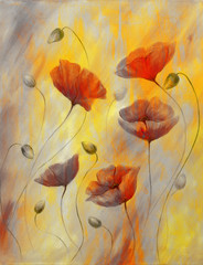 Red poppy on color background. Red poppies. Red flower on abstract color background