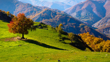 Autumn in the mountain. Bulgaria.