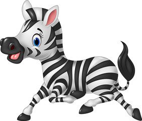 Plakat Cartoon funny zebra running isolated on white background 