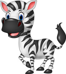 Fototapeta na wymiar Cartoon funny zebra posing isolated on white background