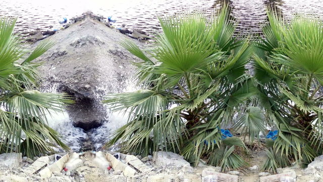 palms near water with water splash seamless loop