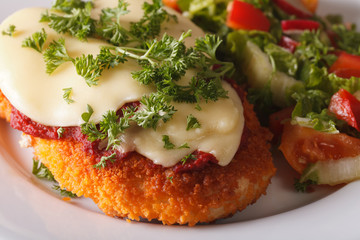 Chicken Parmigiana and vegetable salad macro. Horizontal
