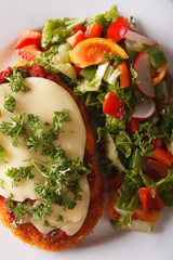 Chicken Parmigiana and vegetable salad macro. Vertical top view
